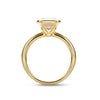 Bezel Long Cushion Cut