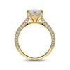 Certate Infinity Marquise Cut
