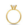 Cigar Band Long Cushion Cut