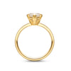Cigar Band Marquise Cut