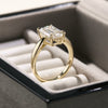 Merge Emerald Cut