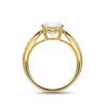 Merge Infinity Oval Cut