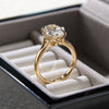 Cathedral Oval Ring