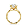 Cathedral Oval Ring