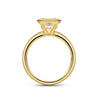 Bezel Radiant Cut